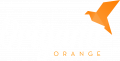 Origami-Orange